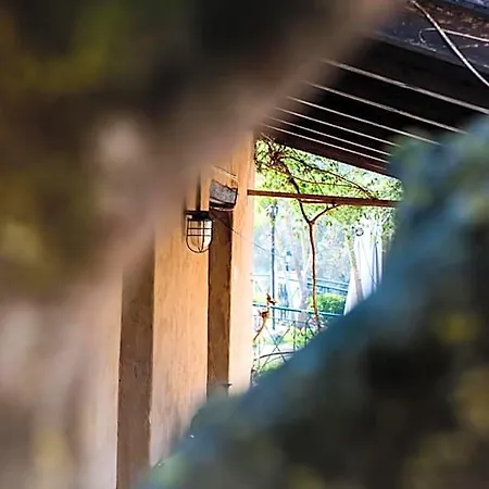 Apartahotel Razis Tsilivi (Zakynthos)