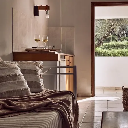 Razis 아파트호텔 티실리비