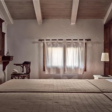 Razis 4* 티실리비