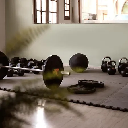 Razis 4* 티실리비