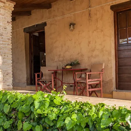 Lägenhetshotell Razis Tsilivi (Zakynthos)